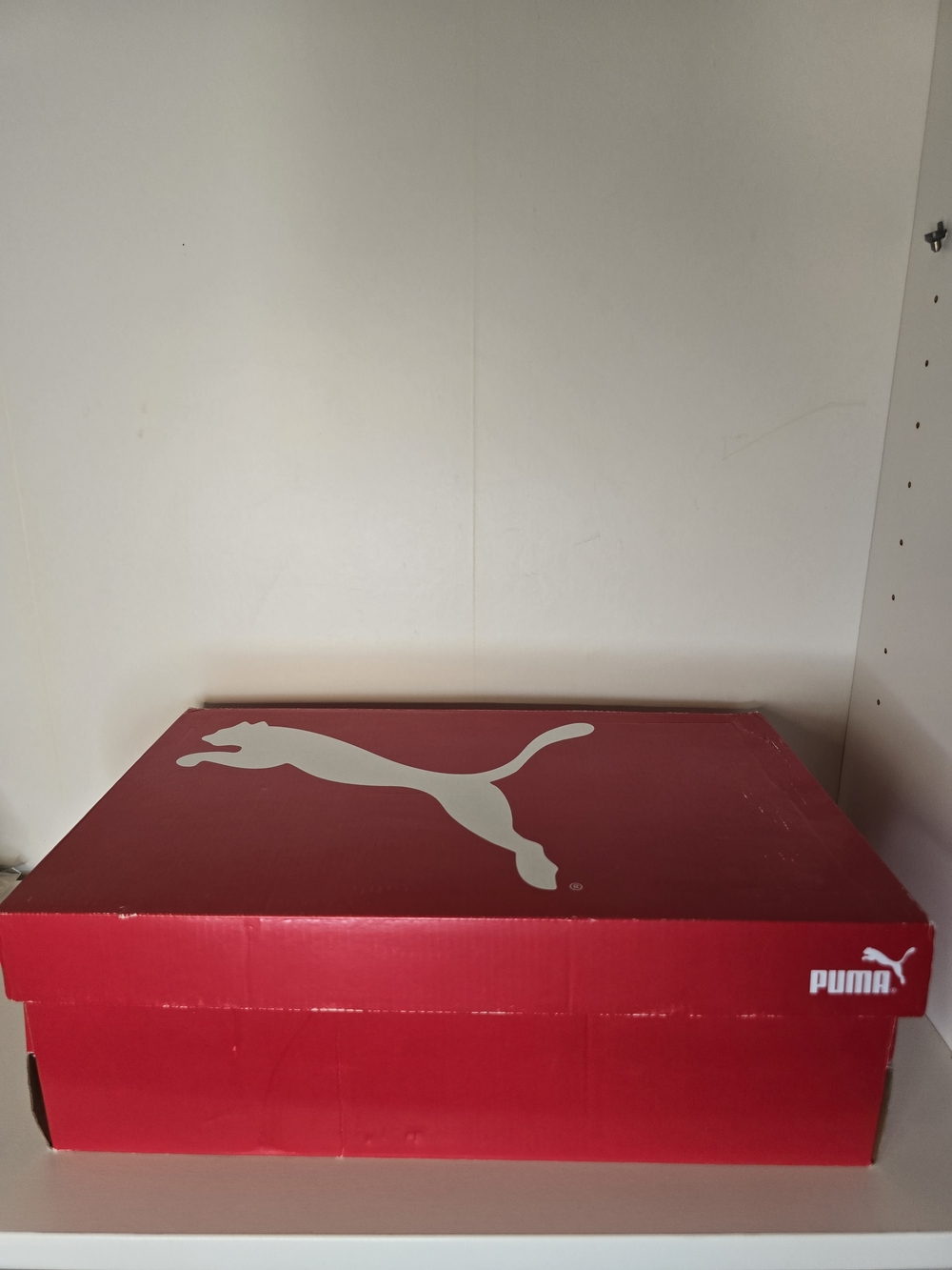 Puma White and Light Gray Sneaker Interior with Size 13
